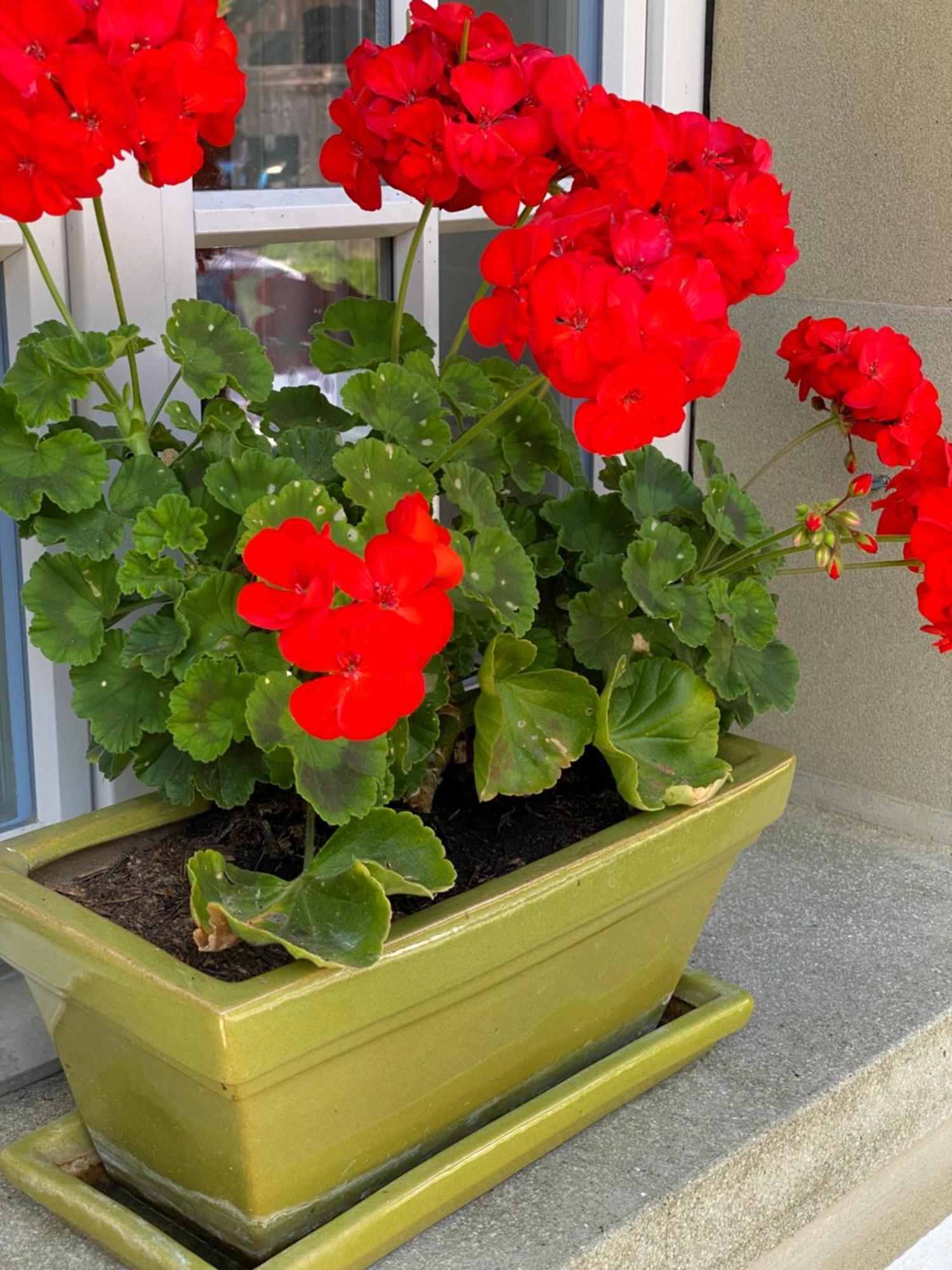B&B Tannen124 Oberburg Екстериор снимка